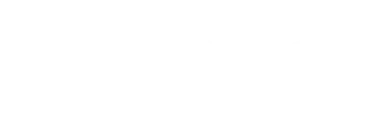 max light logo